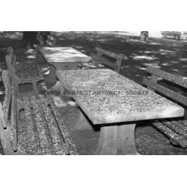 Starling droppings in Robertson Park
