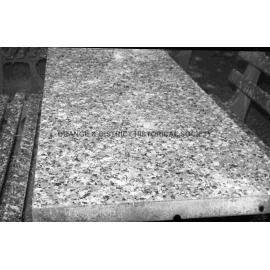 Starling droppings in Robertson Park