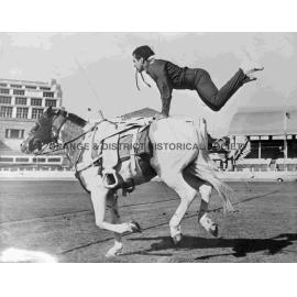 Copy equestrian acrobat