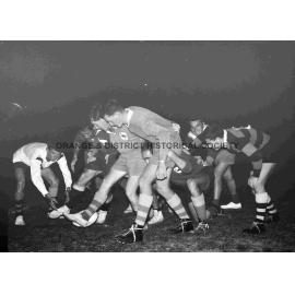 Emus rugby union team training