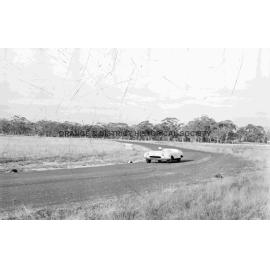 Car races