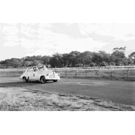 Car races