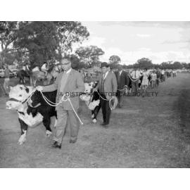 Yeoval Show