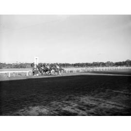Horse racing at Orange