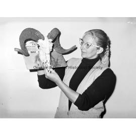 Pop Art exhibition