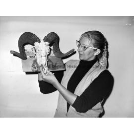 Pop Art exhibition