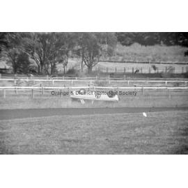 Towac Park car racing