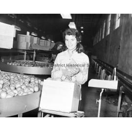 Miss Nina Squires packing apples