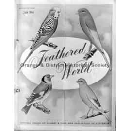 Copy Feathered World poster for Mrs Naylor