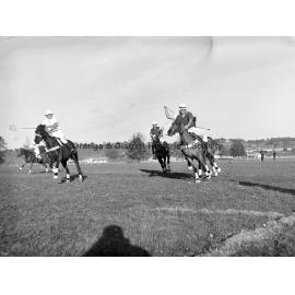 Polocrosse carnival
