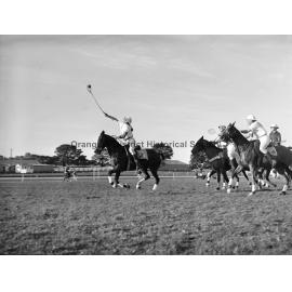 Polocrosse carnival