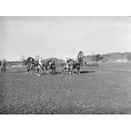 Polocrosse carnival