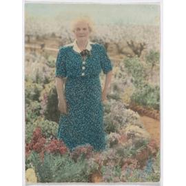 Clare Hawke