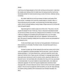 Ergie - 2026 joint first prize short story category