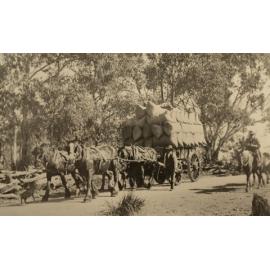 Horse team with wool bales