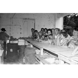 Butchers' picnic