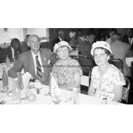 Pensioners' Christmas dinner at Email factory