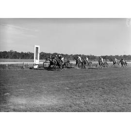 New Year's Day race meeting