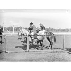 New Year's Day race meeting