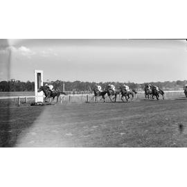 New Year's Day race meeting