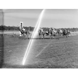 New Year's Day race meeting
