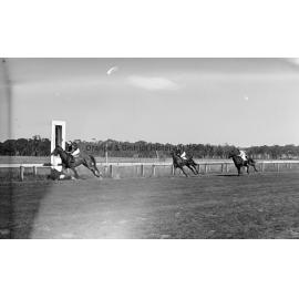New Year's Day race meeting