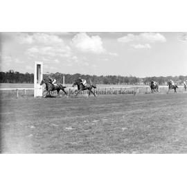 New Year's Day race meeting