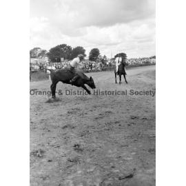 Bushman's Carnival