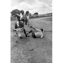 Bushman's Carnival