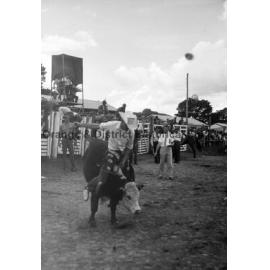 Bushman's Carnival