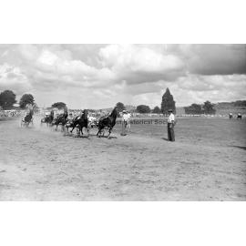 Bushman's Carnival