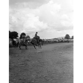 Bushman's Carnival