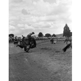 Bushman's Carnival