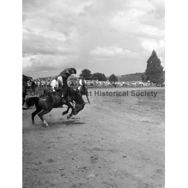 Bushman's Carnival