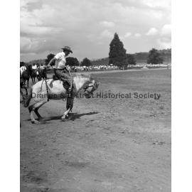 Bushman's Carnival