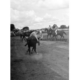 Bushman's Carnival