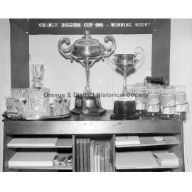 Diggers' Cup trophies