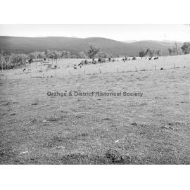 Mr Sharpe's property