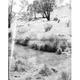 Mr Sharpe's property