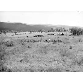 Mr Sharpe's property