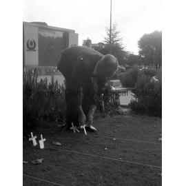 Planting crosses at Cenotaph