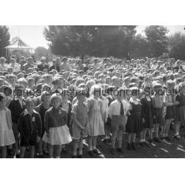 Anzac Day for schools
