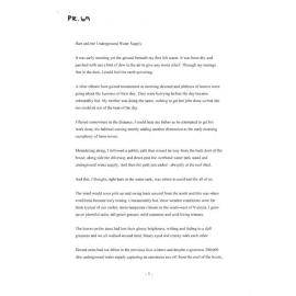 Bart and the Underground Water Supply - 2008 third prize short story category