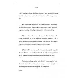 Lukey - 2009 first prize short story category