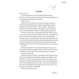 The Snake - 2011 second prize short story category