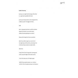 Saddle Dreaming - 2011 third prize open poetry category