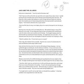 Jack and the Jillaroo - 2011 third prize short story category