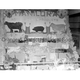Manildra Show