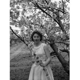 Janet Duff with cherry blossom