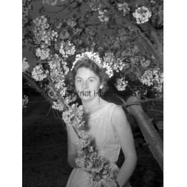 Janet Duff with cherry blossom